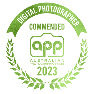2023-PNG-Badges-DP-COMMENDED.png